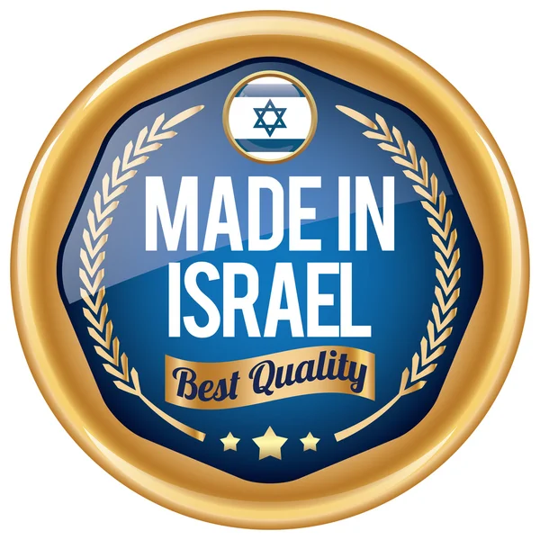 Made in israel icon — Stock Vector