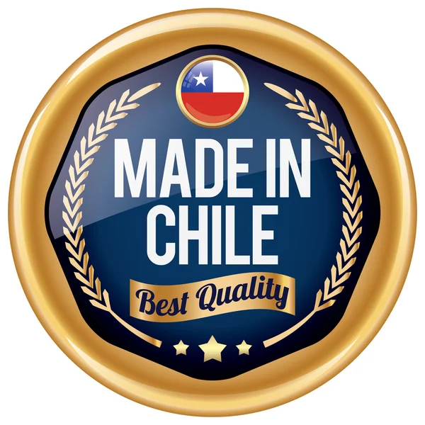 Hecho en icono de chile — Vector de stock