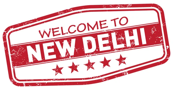 Welcome to new delhi — Stock Vector