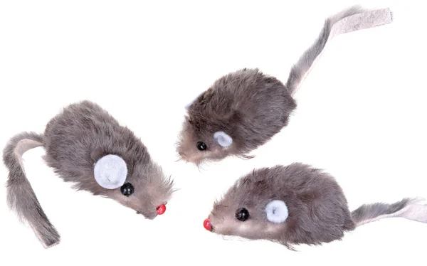 Cat Fishing Toy - Mouse on Rope with Pole  White Background . — Stock Photo, Image
