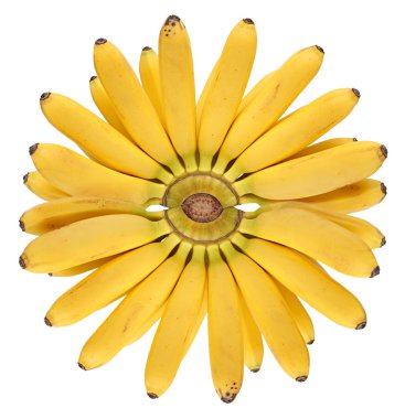 Taze olgun muz izole beyaz arka plan grup. Güneş muz.