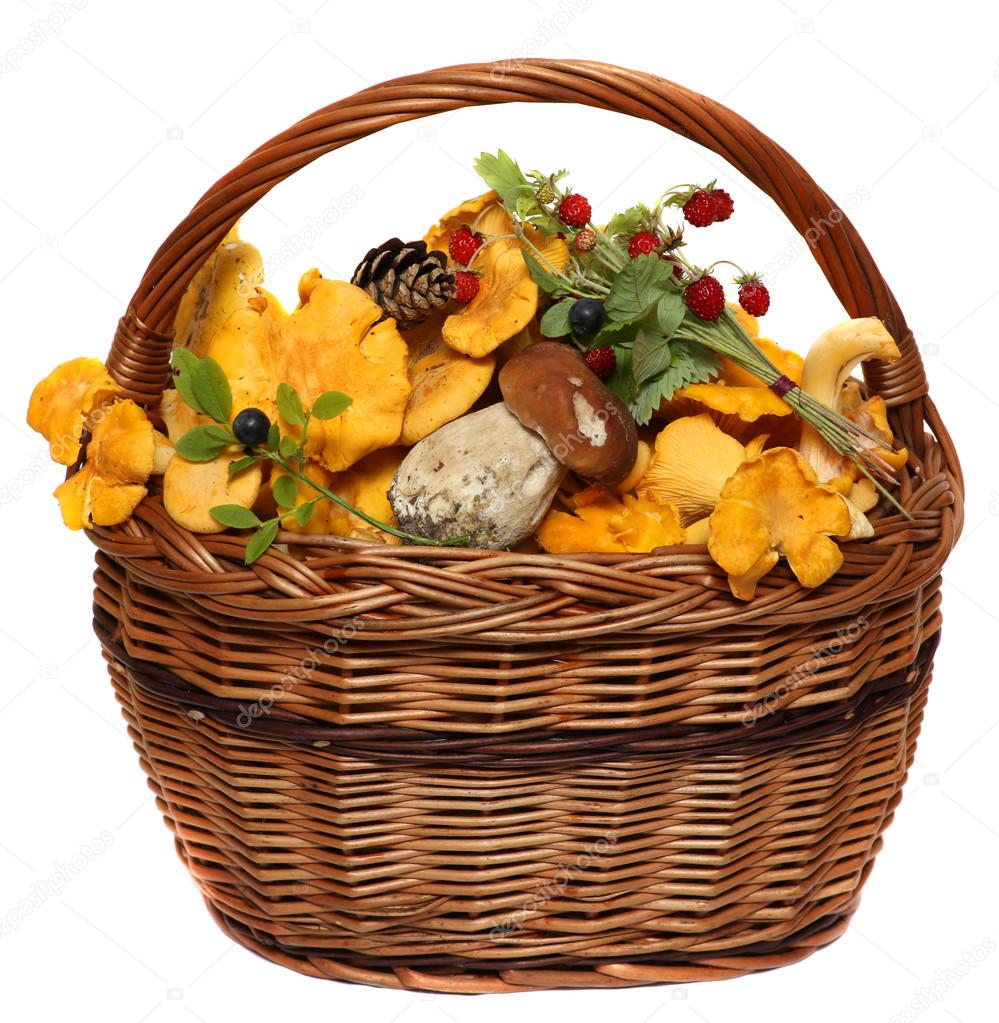 Basket with wild forest mushrooms and berries isolated on a white background.