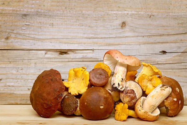 Boletus hongo sobre fondo de madera. Otoño Cep Recolección de hongos — Foto de Stock