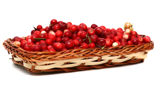Cranberries. Bagas em cesta de vime isolado no fundo branco . — Fotografia de Stock