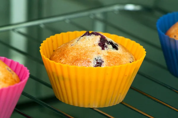 Muffin Com Bagas Isoladas Fundo Branco — Fotografia de Stock