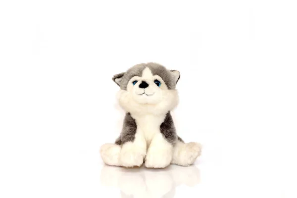 Beyaz arka planda izole edilmiş şirin, iri yapılı köpek oyuncağı.