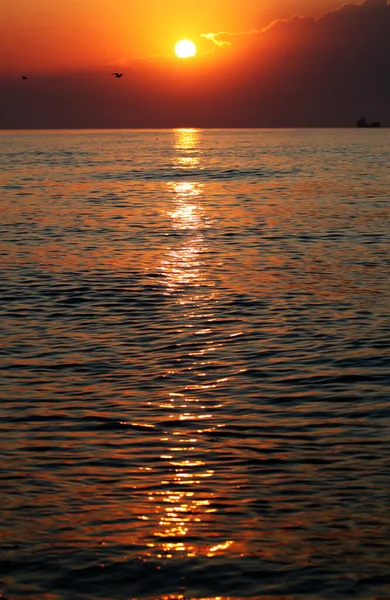 Coucher Soleil Doré Sur Mer Noire — Photo