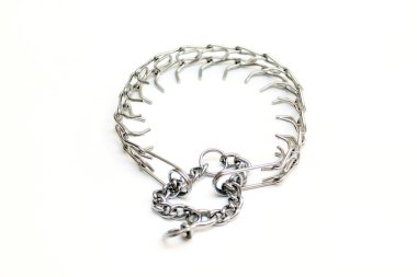 beyaz arka plan üzerinde izole köpek tasma