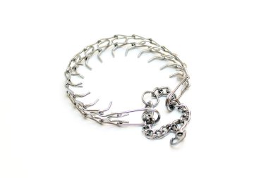 beyaz arka plan üzerinde izole köpek tasma