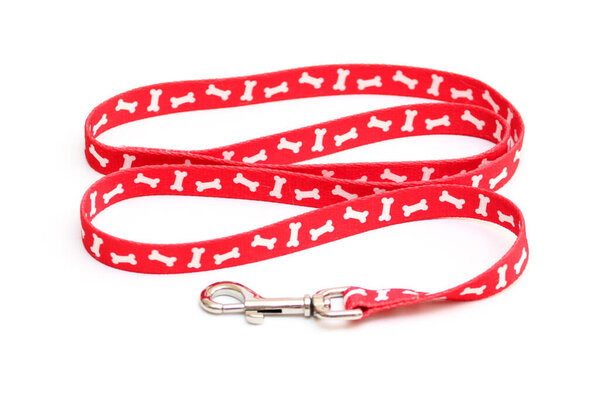 dog leash isolated on white background