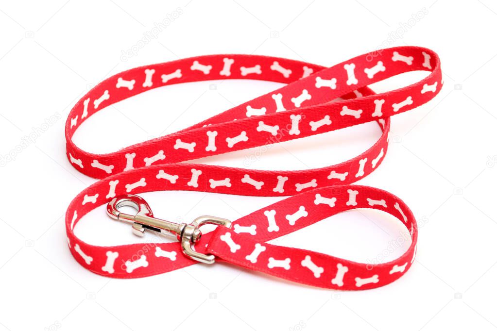 dog leash isolated on white background