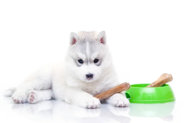 Entzückender Siberian Husky Welpe Mit Knochen Auf Weißem Hintergrund — Stockfoto