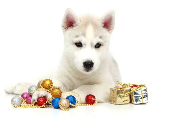 Adorable Cachorro Husky Siberiano Con Decoraciones Navidad Sobre Fondo Blanco — Foto de Stock