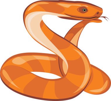 Yılan üzerinde beyaz izole rüya