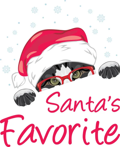 Espreitar Gato Engraçado Boné Natal Pai Natal Favorito —  Vetores de Stock