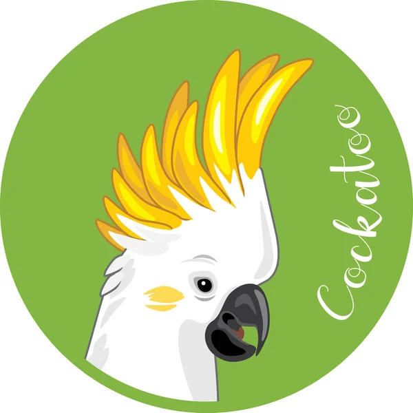 Cockatoo Hlava Samolepka Pro Design — Stockový vektor