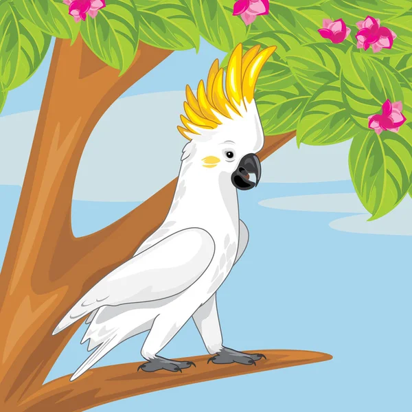 Cockatoo Gren Ett Blommande Träd — Stock vektor