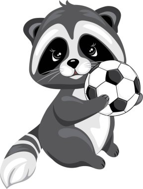 Futbol topuyla sevimli bir rakun.