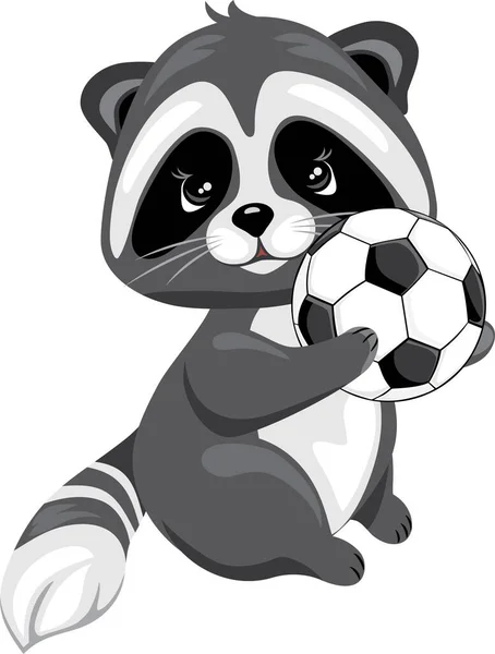 Cute Raccoon Soccer Ball — Stock Vector