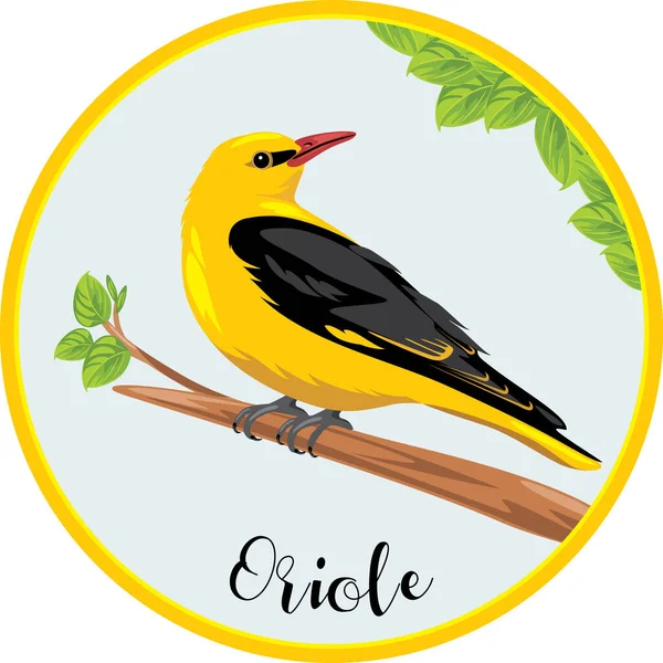 Oriole Zit Een Tak Sticker Voor Design — Stockvector