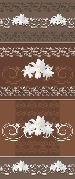Zierliche braune Einfassungen mit weißen Tulpen — Stockvektor