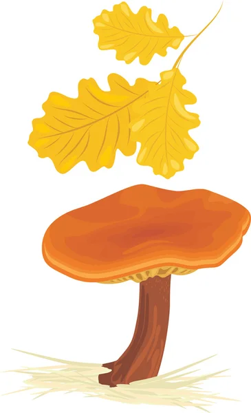 Champignon aux feuilles de chêne — Image vectorielle