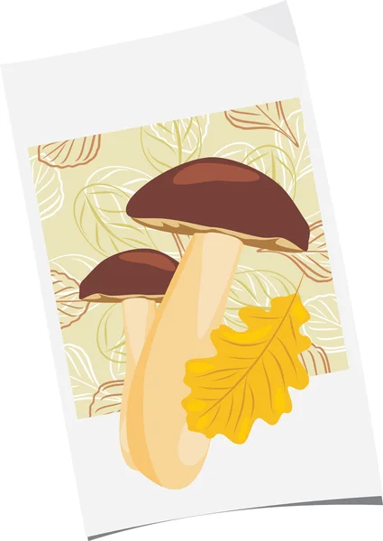 Бумажный лист с грибами и дубовым листом — стоковый вектор