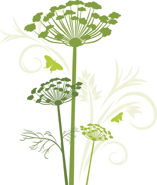 Silhouette of blooming fennel isolated on the white — Stock Vector