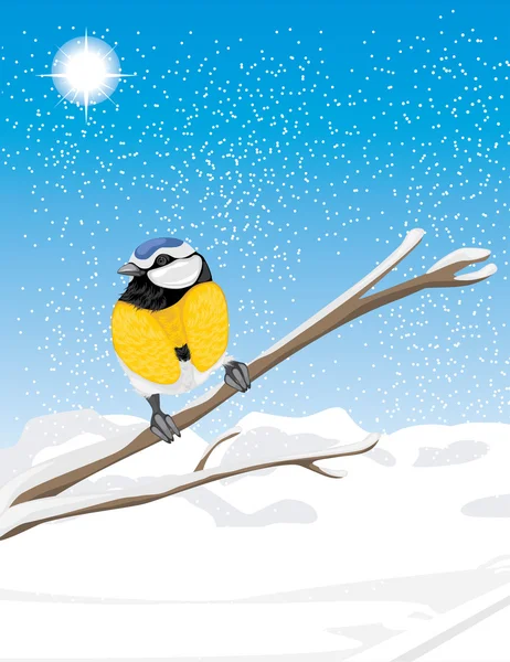 Blue tit sitting on a snowy branch tree — Stock Vector