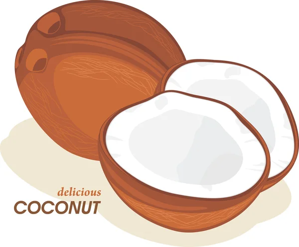 Kokos isolerat på vita — Stock vektor
