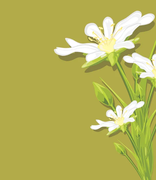 Flores blancas de primavera sobre un fondo verde — Vector de stock