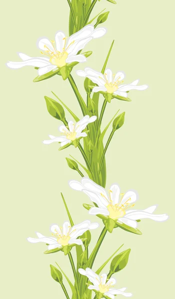 Borde sin costuras con flores blancas de primavera — Vector de stock