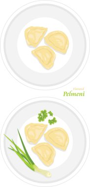 Bir plaka üzerinde aromalı mantı