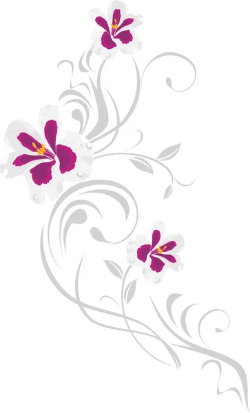 Elemento ornamentale con fiori di pelargonio — Vettoriale Stock