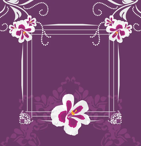 Stylized pelargonium flowers. Greeting card — 图库矢量图片