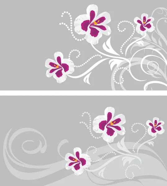 Decorative backgrounds with stylized pelargonium flowers — ストックベクタ