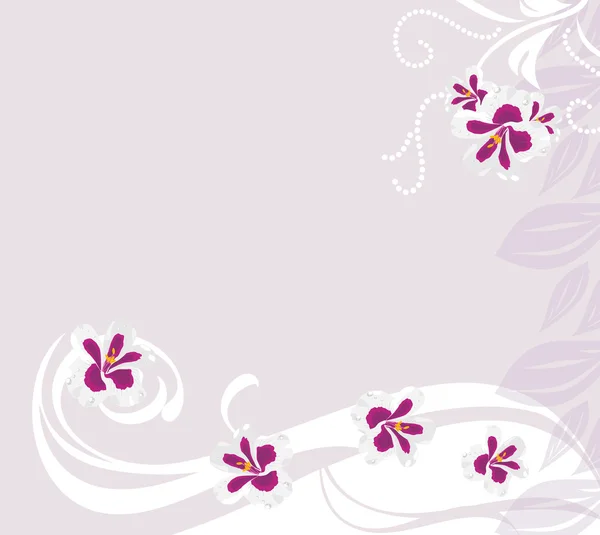 Decorative background with stylized pelargonium flowers — ストックベクタ