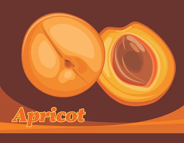 Apricot. Label for design — Stock Vector