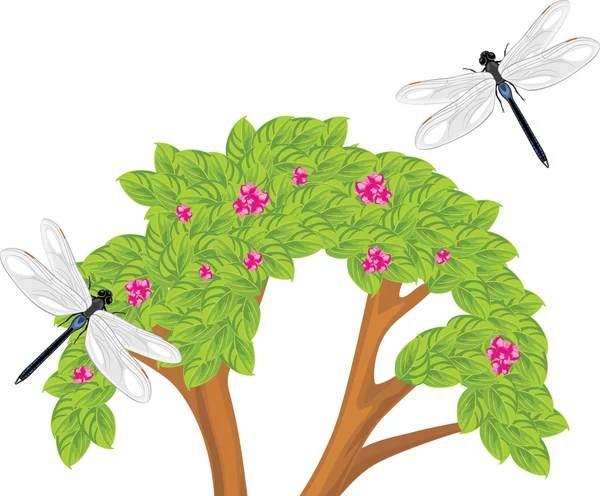 Dragonfly flying over the flowering bush — Stock Vector