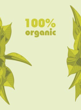 Şal tasarım yapraklı arka plan