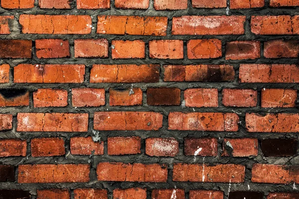 Brick wall close-up. — Stock Photo, Image