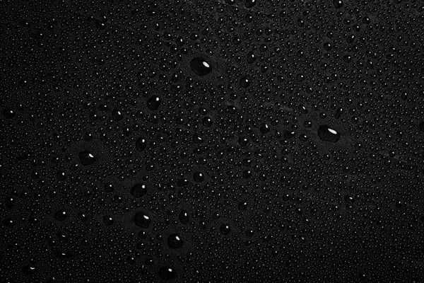 Gotas de água. Fotografias De Stock Royalty-Free