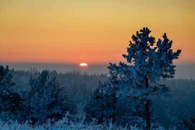 Ormanın arka planında dağlar olan kış manzarası.