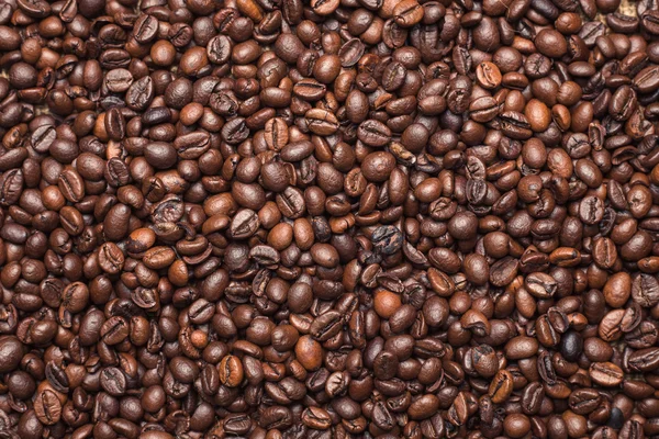 Kaffeebohnen. — Stockfoto