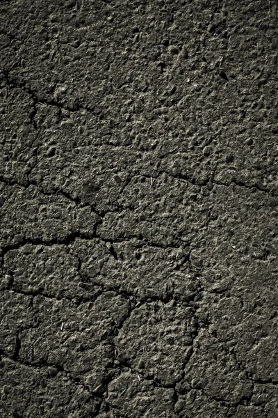 Asphalt road. — Stock Photo, Image