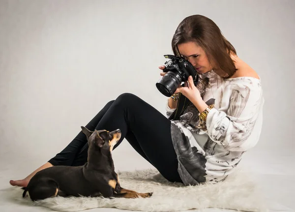 Tier-Fotosession im Studio — Stockfoto