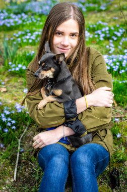 Açık öğe, dikey, küçük köpek