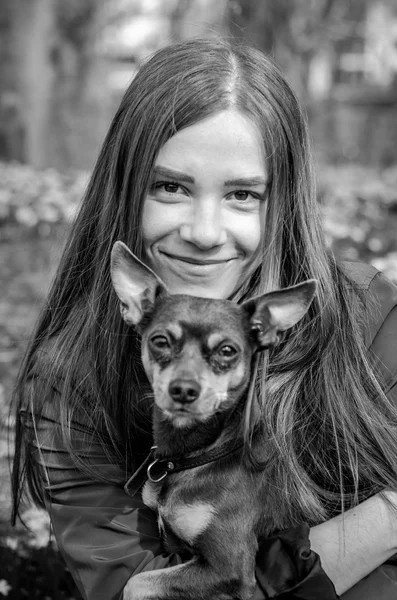 Zwart-wit portret met puppy hondje — Stockfoto