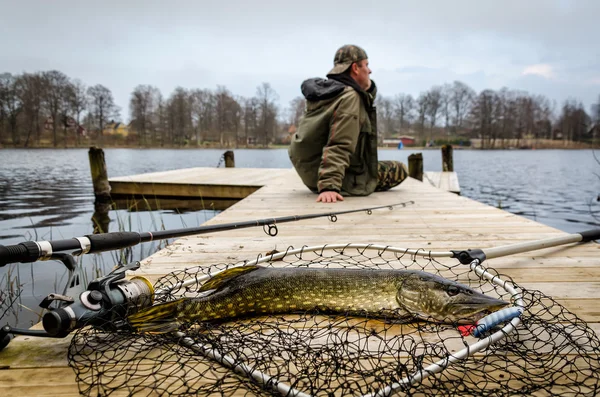 Pike fishing in spring scenery — Stock Photo, Image