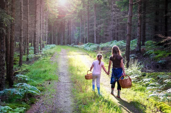 We are going to pick mushrooms — Stock Photo, Image